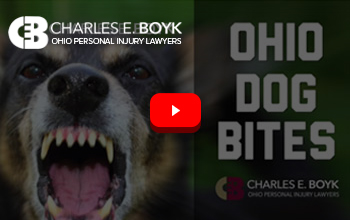 Ohio Dog Bite Attorney – Know Your Legal Rights