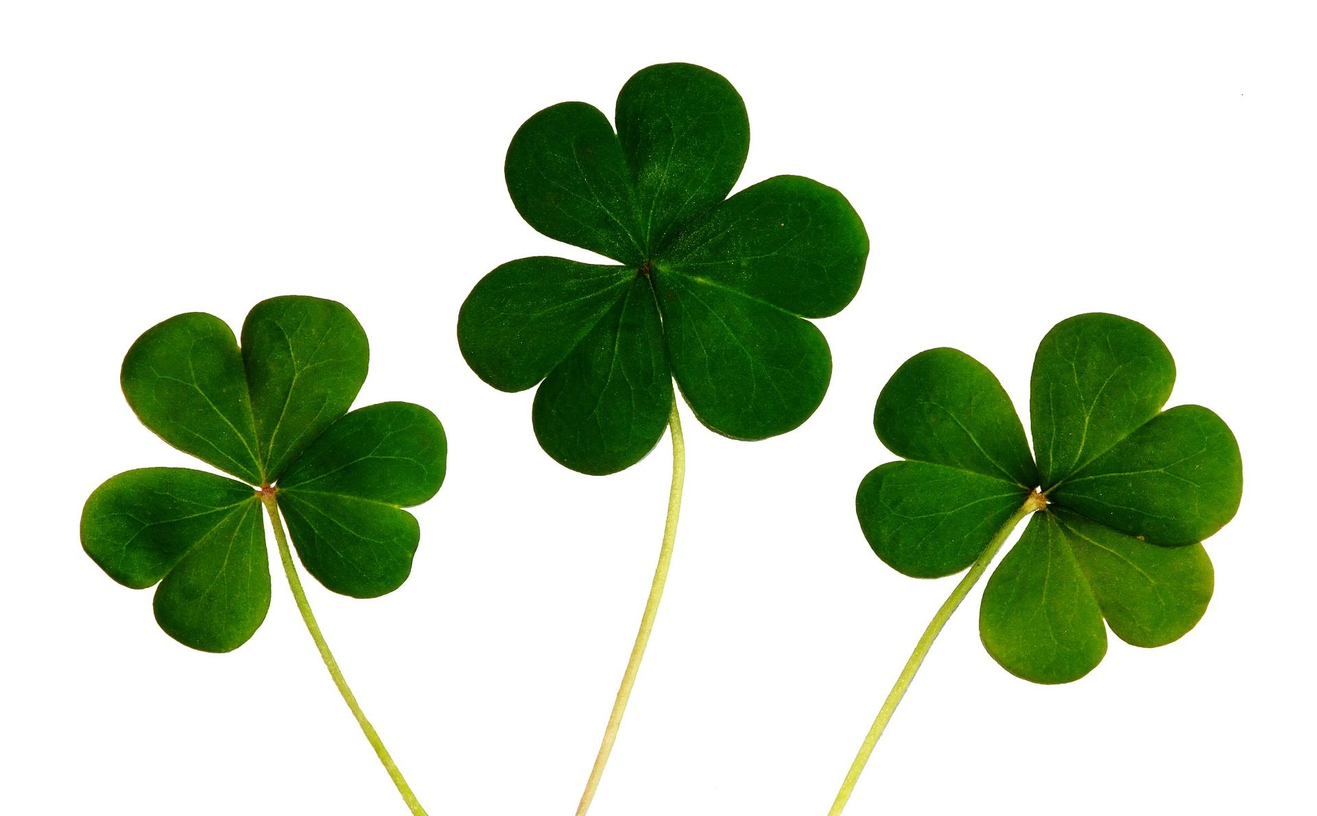 Vehicle Accidents On St. Patrick’s Day Weekend Vehicle Accidents On St. Patrick’s Day Weekend