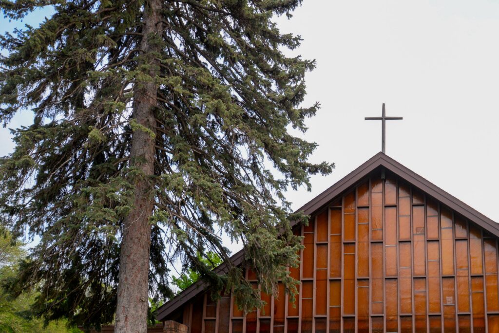 tree and church steeple